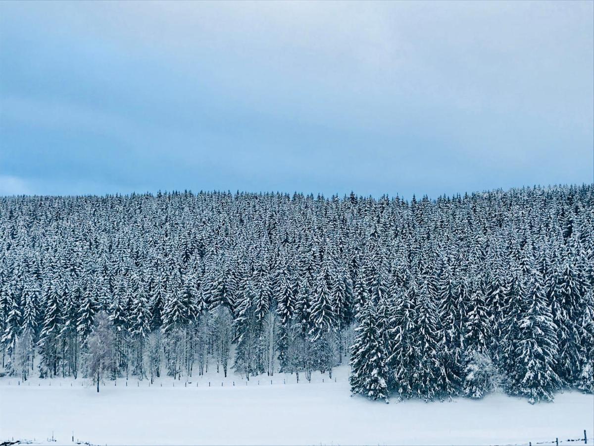 Appartement Familie Willems Winterberg Am Waltenberg Luaran gambar